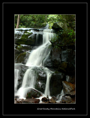 Falls in the forest Smoky Mountains.jpg