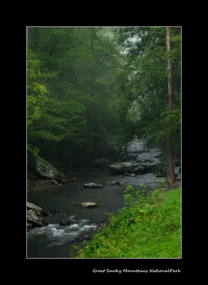 Rain shower Smoky Mountains.jpg