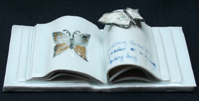 Open Butterfly Book.jpg