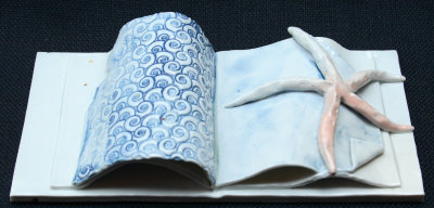 Open Starfish Book.jpg