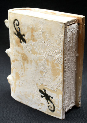 Salamander Full Size Book.jpg