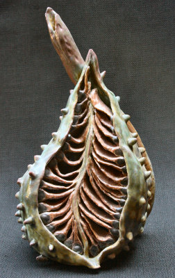 Seed Pod.jpg