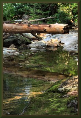 Log Reflection.jpg