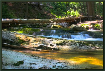 Log across the stream.jpg