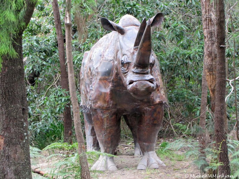 Rhino