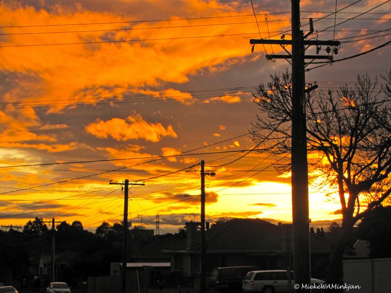 Orange clouds