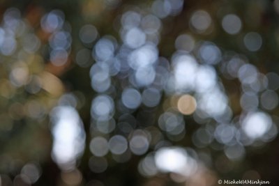 Out of focus