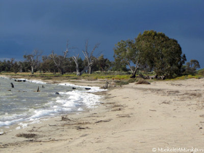 Lake Bonney