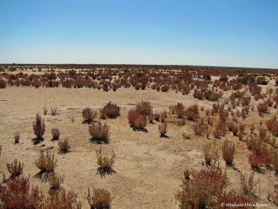 Lanscape between Marree and Farina