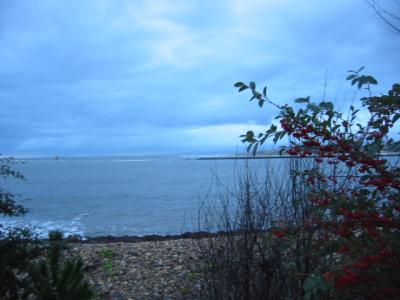 Devonport coast at dawn