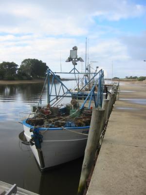 Wynyard Port