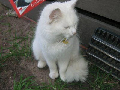 5 august Visitor