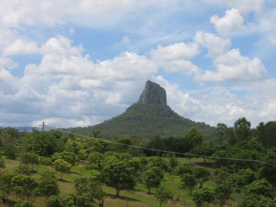 Mt. Coonowrin with Mango trees in foreground