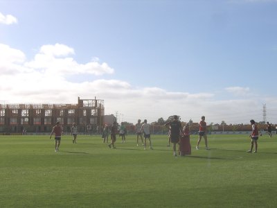7 january Hawthorn AFL players at an early monday morning training session