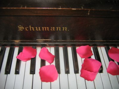 12 january Piano and rose petals