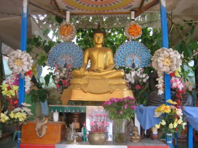 27 january Temple for Buddha