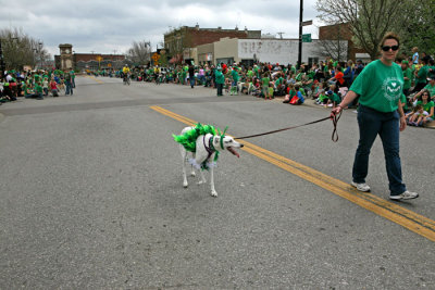 IMG_9511.jpg