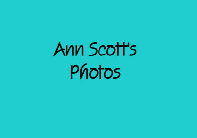anns.jpg