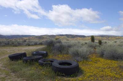 the tyre fields