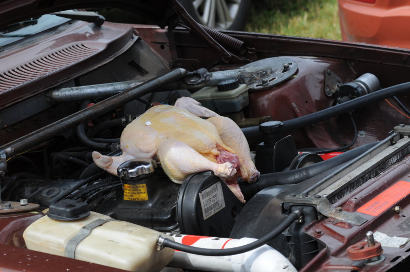 DSC_8676.JPG