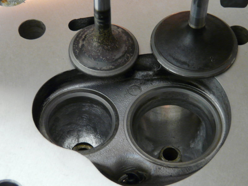 P1100006.JPG