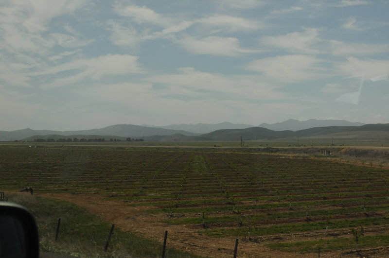 DSC_2169.JPG