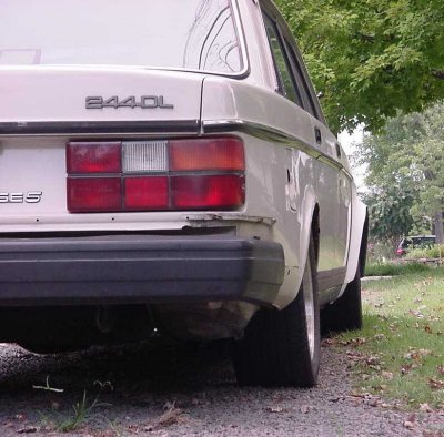 rear_camber.jpg