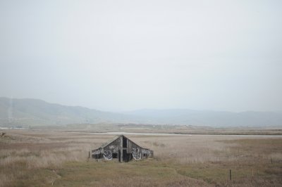 DSC_2148.JPG