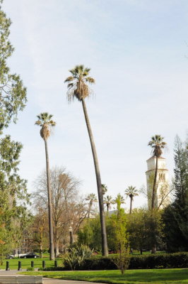 DSC_2425.JPG