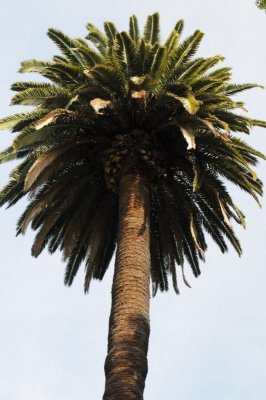 DSC_2428.JPG