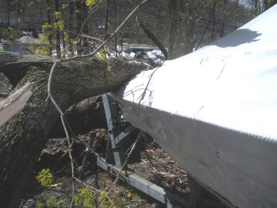 9 BOW-OF-BOAT.jpg
