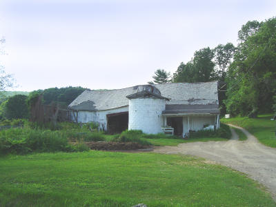 Headley Barn and Cows 013.jpg