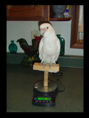 Cloud Getting Weighed