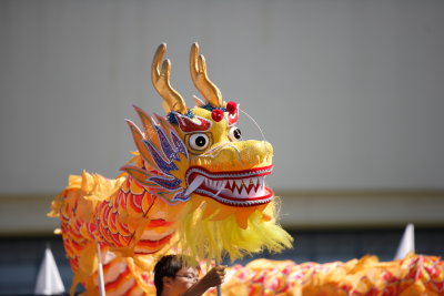 Dragon Boat festival 2011