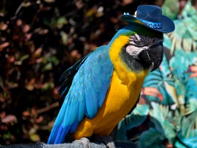 DSC_0023.jpg