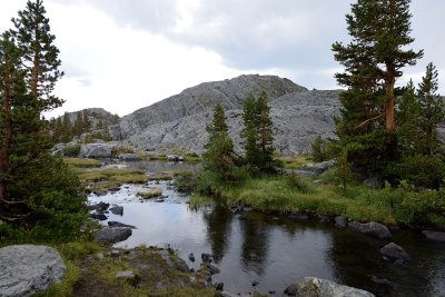 DSC_0774.jpg