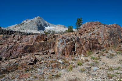 DSC_1238.jpg