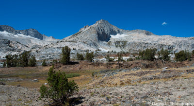 DSC_1239.jpg