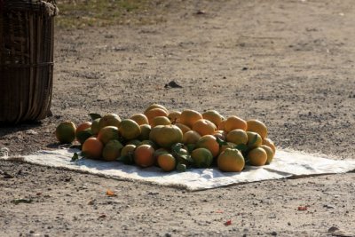 oranges.jpg