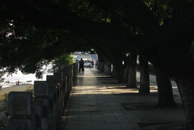 shaded street.jpg