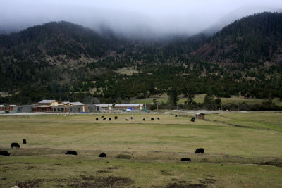 Farm in the Valley.jpg
