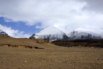 Snow Capped.jpg