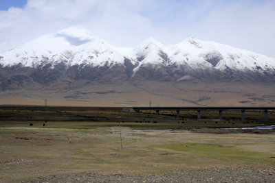Tibet