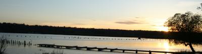 Sunset of Lake Sammamish.jpg