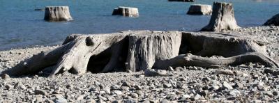 RattleSnake 047.jpg