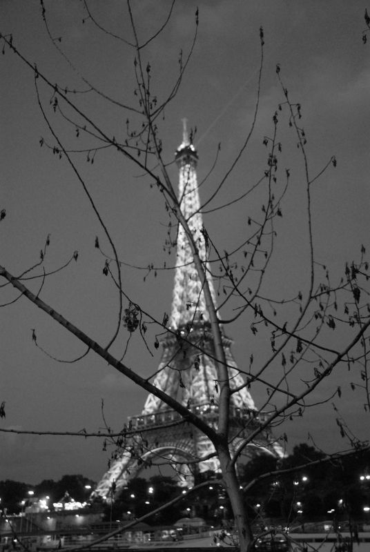 Eiffel and Twigs