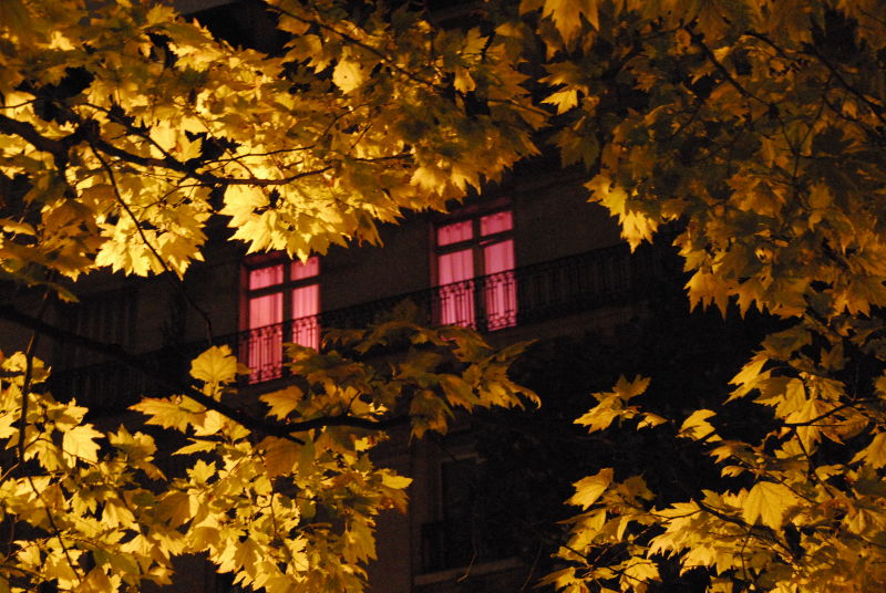 Purple and Gold on Blvd Courcelles