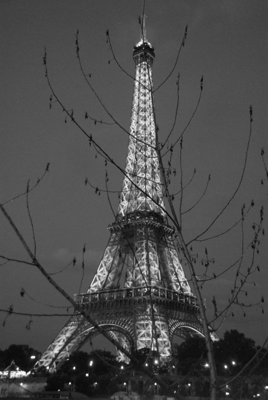 Eiffel Twigs 2