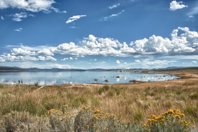 Mono Lake