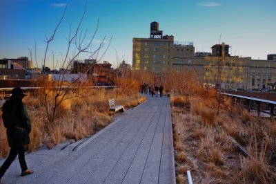 Walking the High Line